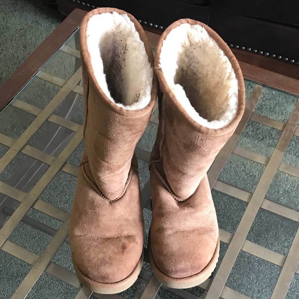 Tall Uggs - image 1